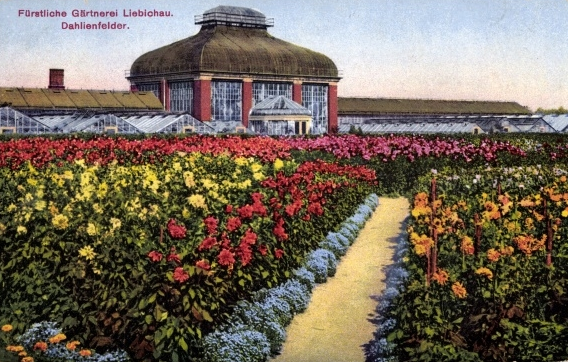 Lubachów - Palm House