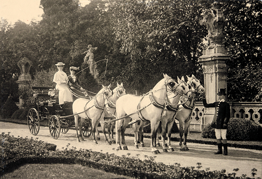 Traditional carriage driving