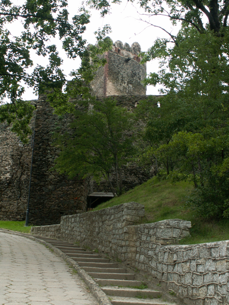 Zamek Grodno