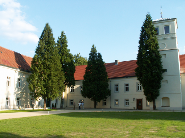 Zamek w Trzebieszowicach